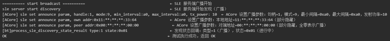 启动星闪广播